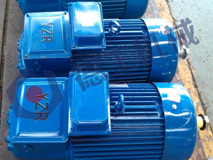 悬挂起重机电动机